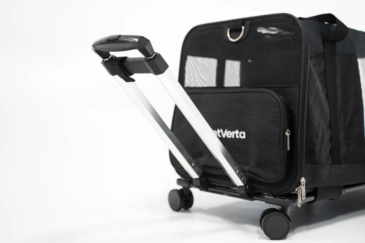 Transporter na kółkach dla dwóch kotów VETVERTA czarny | Duża torba transportowa 55 × 37 × 47 cm